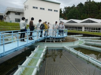 屋外の国見浄水場で、水槽の上に架けられた青い手すりのある通路に並んだ数人の男女が、水が流れる複数の区画に分かれた槽を見守りながら説明を受けている、施設見学の様子を捉えた写真