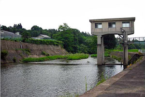 緑豊かな山間を流れる川に設置された、コンクリート造りの取水ぜきとゲート操作室のある取水施設の写真