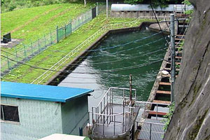 緑のフェンスで仕切られた敷地に青い屋根の小屋と緑色の水が溜まった長方形の沈砂池がある写真