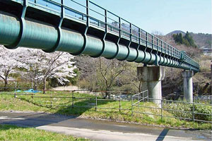 コンクリートの支柱に支えられた太い青緑色の導水管が、川沿いに満開の桜が咲く川に架かった、水管橋の写真
