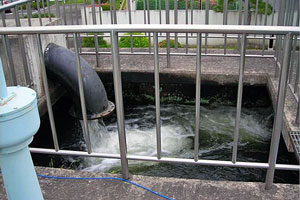 金属製の柵に囲まれたコンクリートの槽へ、太い黒色の配管から白いしぶきを上げながら水が勢いよく流れ落ちている着水井の写真