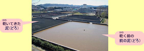 茶色の液状の沈殿池や黒い泥がたまった沈殿池が並んだ写真が中央に配置され、液状の沈殿池を示す吹き出しに「乾く前の前の泥(どろ)」、黒い泥がたまった沈殿池を示す吹き出しに「乾いてきた泥(どろ)」と記載された、天日乾燥床で泥が乾いていく過程を比較した画像