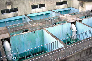 水色の壁面を持つ複数の四角い槽が並び、太い白色や緑色の配管が設置されているろ過池の様子の写真