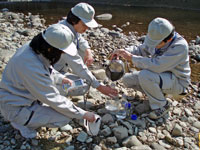 作業着を着用した3人の人物が川岸の岩場にしゃがみ込み、容器から液体を注いだり機器を用いたりして河川の採水作業や水質調査を行っている様子の写真