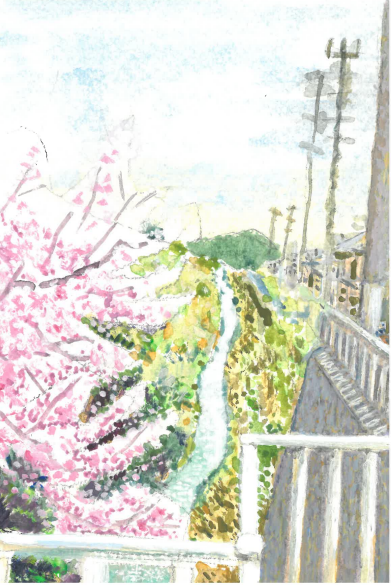 いつもの散歩道にある橋のような場所から見える小川や桜、電柱が見える様子を描いた絵画作品