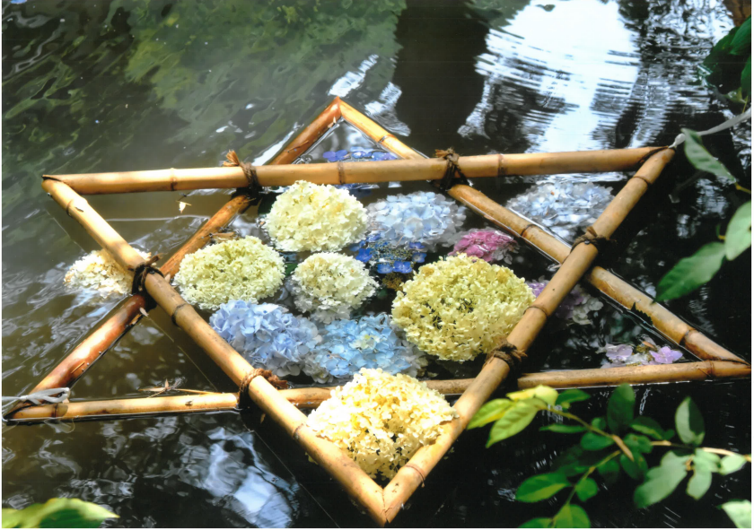 池に浮かぶ星形の花手水の写真