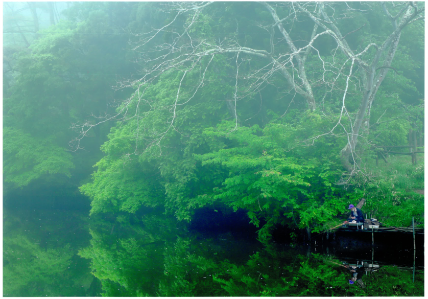 霧に包まれた静寂の風景の中でひっそりと釣りをする幻想的な写真