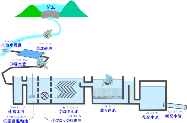 装置 池 ろ過