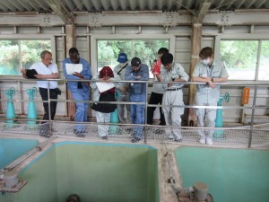 熊ヶ根浄水場の水槽前の手すりに集まった派遣研究員が下を覗きながら職員の説明を聞いている様子の写真