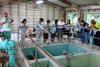 熊ヶ根浄水場にて、手すりで囲われた複数の水槽の周りに集まった派遣研修員の人々が、水槽の中を覗き込みながら、職員の男性の説明を聞いている様子の写真
