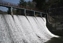 ダムの堤体から白いしぶきを上げながらダイナミックに水が流れ落ち、上部には青い手すりの付いた青下橋が架かる写真