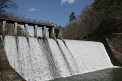 コンクリート造りのダムの堤体から勢いよく水が流れ落ち、周囲を山林に囲まれた水辺の写真