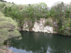静かな水面を湛えるダム湖の対岸に白い岩肌が露出し、その上部を新緑の木々が覆うように茂る風景写真