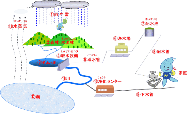 雨や雪が山に振り、川に流れダムに貯められ浄水場を経て家庭へ届き、下水管から浄化センターを通って海へ還り、また雨や雪に戻る循環の仕組みを1から13の番号付きの解説を交え分かりやすく図解したイラスト