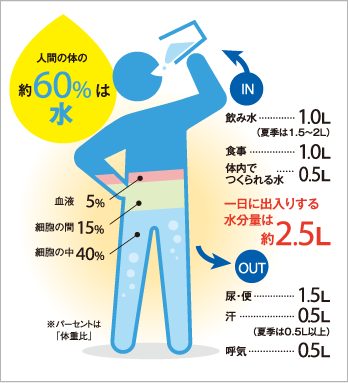 人間の体の約60%は水、血液5%、細胞の間15%、細胞の中40%※パーセントは「体重比」。一日に出入りする水分量は約2.5L。IN、飲み水1.0L（夏季は1.5〜2L）、食事1.0L、体内でつくられる水0.5L。OUT、尿・便1.5L、汗0.5L（夏季は0.5L以上）、呼気0.5L。