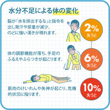 水分不足による体の変化。 2%失うと：脳が「水を排出するな」と指令を出し発汗や尿量が減少。のどに強い渇きが現れます。 6%失うと：体の調節機能が落ち、手足のふるえやふらつきが起こります。 10%失うと：筋肉のけいれんや失神が起こり、危機的状況に陥ります。