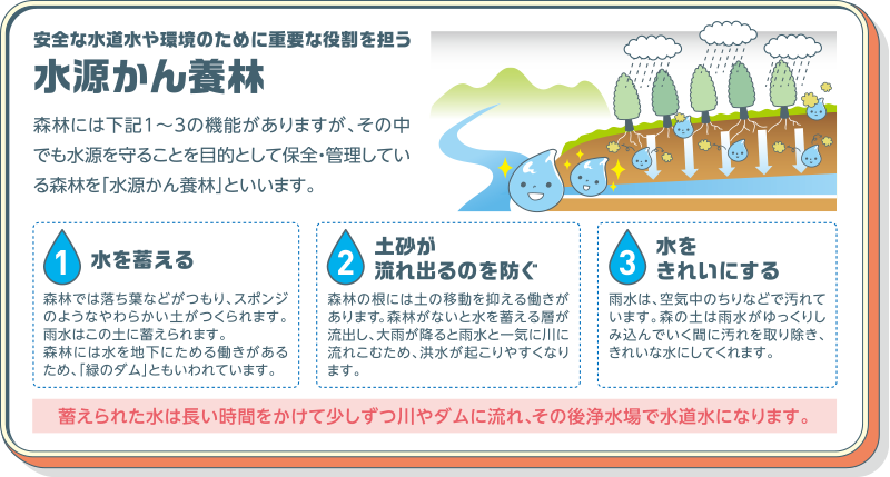 安全な水道水や環境のために重要な役割を担う水源かん養林　森林には下記1〜3の機能がありますが、その中でも水源を守ることを目的として保全・管理している森林を「水源かん養林」といいます。