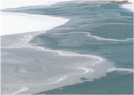 凍った水面にできた波紋