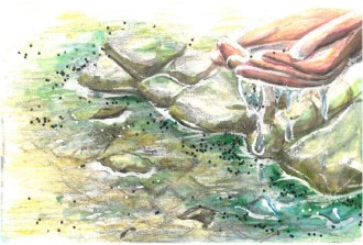 清流から水をすくい上げる手の絵