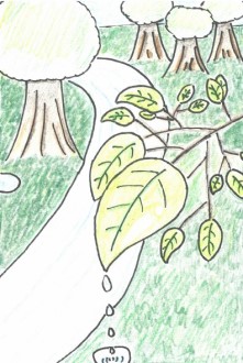 木々と葉から滴る水滴の絵